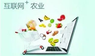 農(nóng)村電商十大發(fā)展趨勢 擁抱變革，賦能鄉(xiāng)村經(jīng)濟